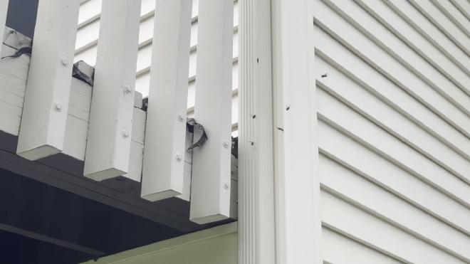 Yellow jackets flying around a nest entrance where the deck meets the house