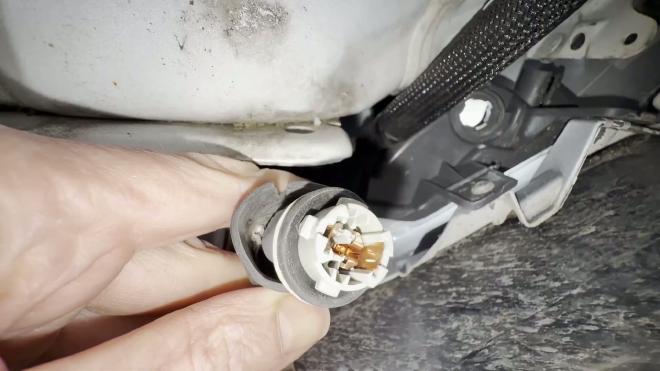 Reverse light socket removed from the housing